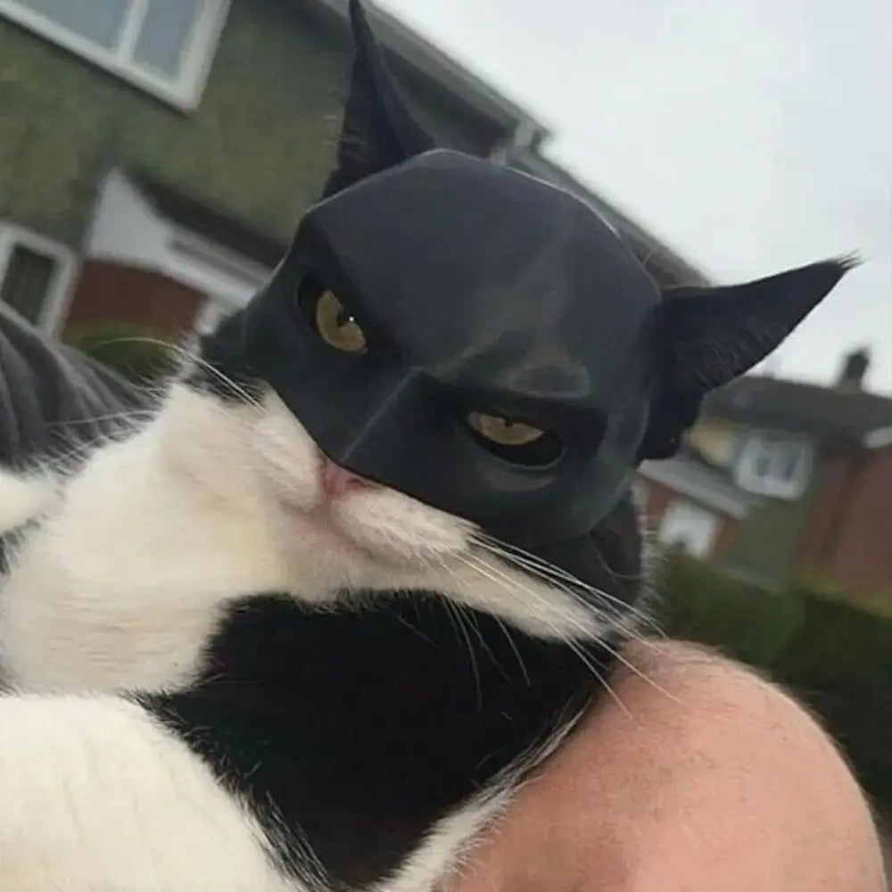 Mascara Batman para gatos