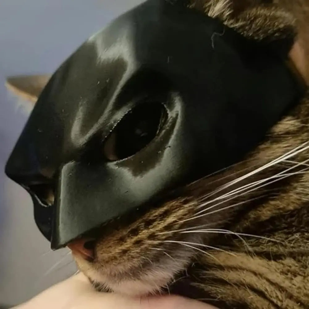 Mascara Batman para gatos