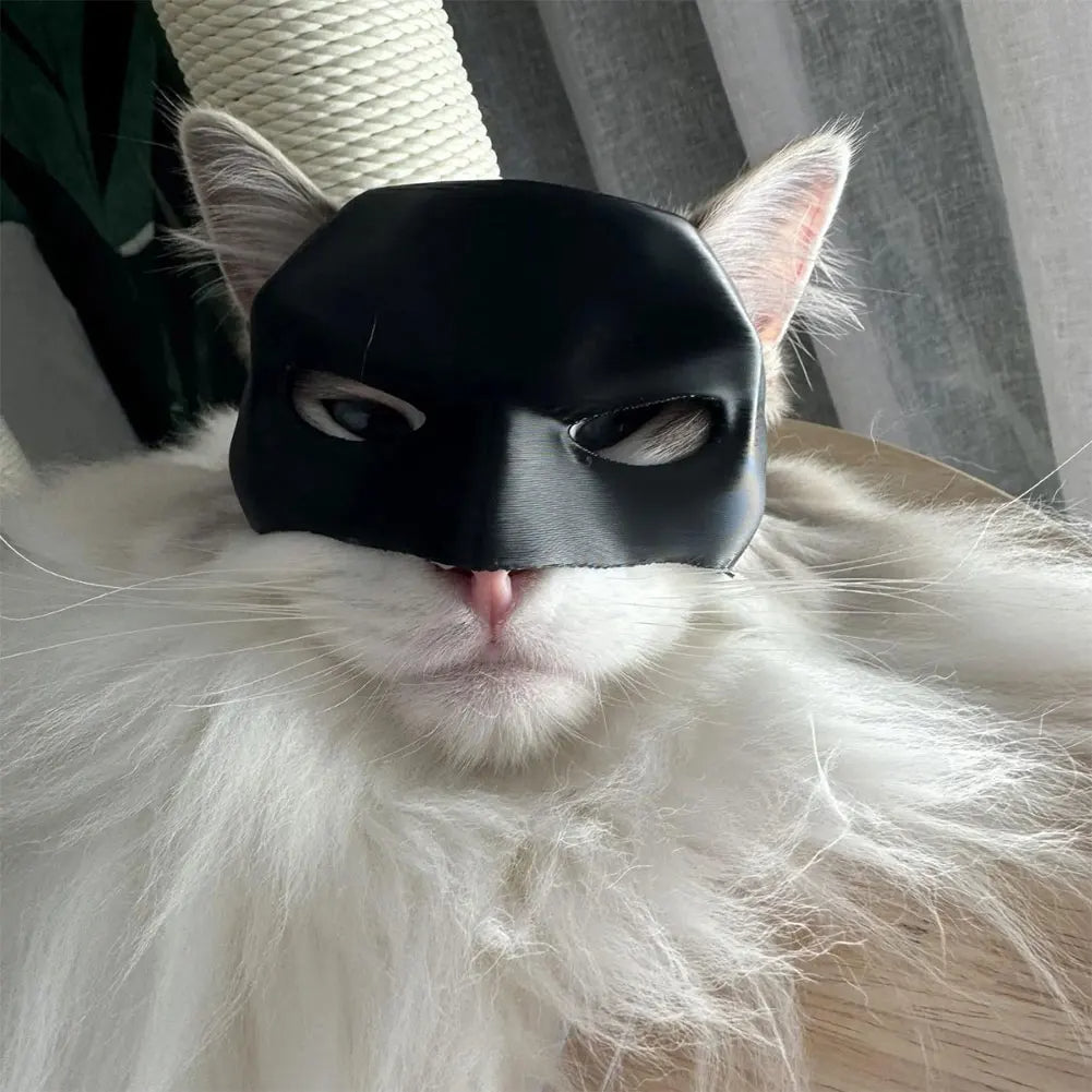 Mascara Batman para gatos