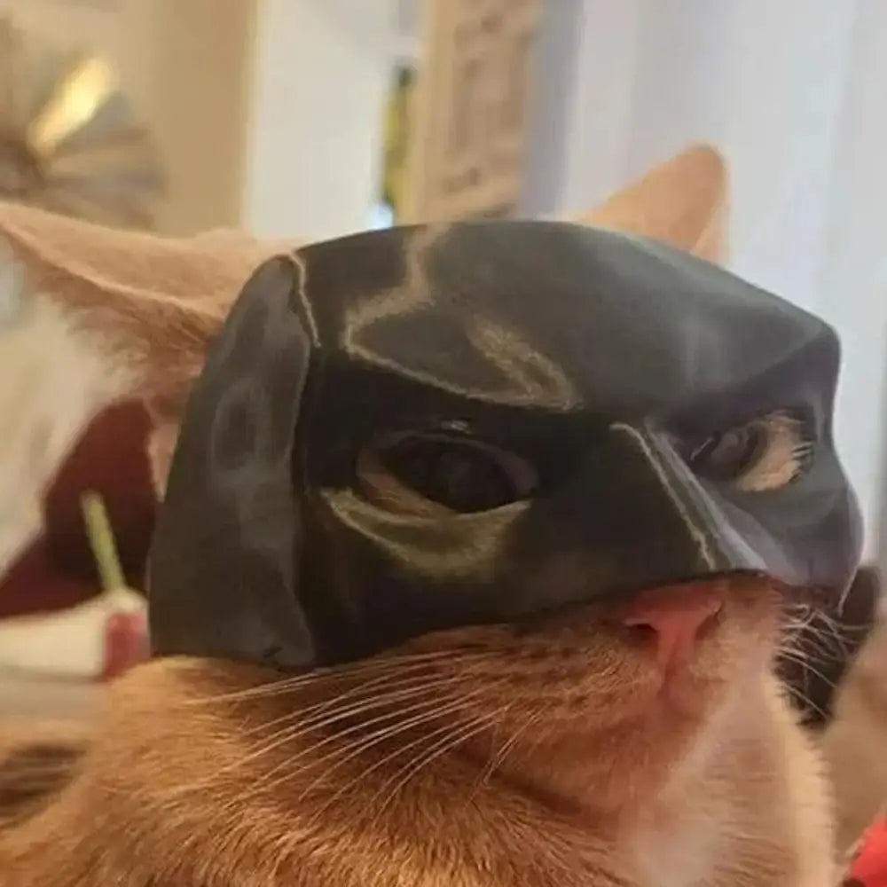 Mascara Batman para gatos