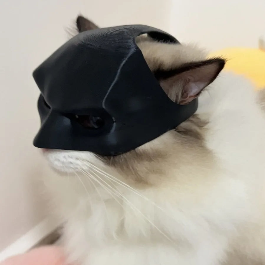 Mascara Batman para gatos